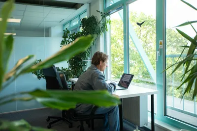 Man concentrating on his laptop at a window seat, plant leaves in the foreground