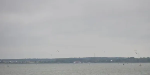 rs=w_776,h_388,cg_true (7) rs=w_776,h_388,cg_true (7)