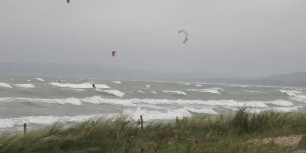 rs=w_776,h_388,cg_true (8) rs=w_776,h_388,cg_true (8)